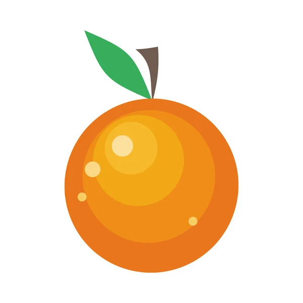 Fruta laranja isolada sobre branco — Vetor de Stock