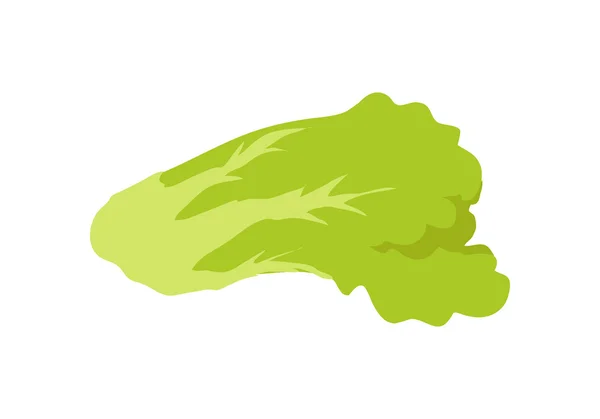 Banner de ensalada verde. Concepto de comida saludable. Vector — Vector de stock