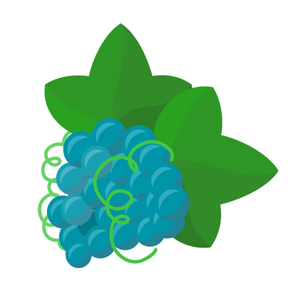 Illustrazione vettoriale dell'uva nel design piatto . — Vettoriale Stock