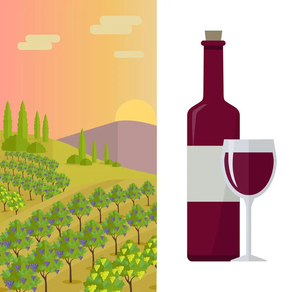 Landelijk landschap met wijngaard — Stockvector