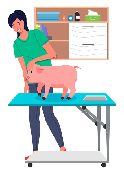 Az állatorvos lány disznókat vizsgál az állatorvosi szobában. Kisállat az állatorvosi asztalon. Állatorvos kezeli a malacot — Stock Vector