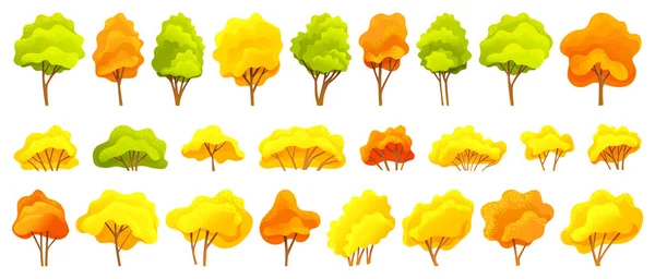 Colección de árboles de otoño, diferentes tamaños y formas de árboles con verde, naranja, hojas amarillas, símbolos de árboles de otoño — Vector de stock