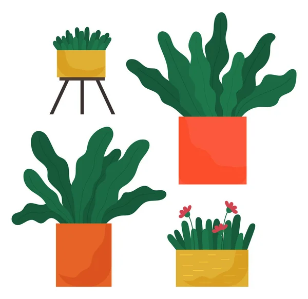 セラミック鍋に長い葉を持つ装飾的なセット緑の植物、観葉植物とポット。ホームインテリア工場 — ストックベクタ