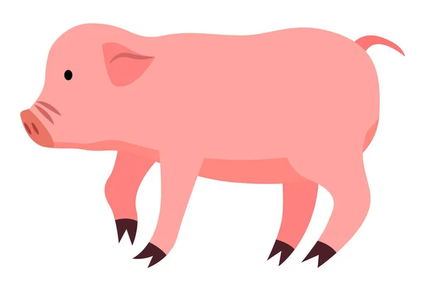 Мультяшна мила свиня ізольована на білому тлі. Маленький поросятко зі смішним обличчям Векторні ілюстрації — стоковий вектор