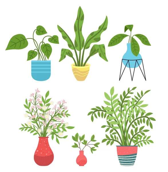 装饰设置绿色植物与长叶陶瓷壶,壶与家庭植物.家庭室内植物 — 图库矢量图片