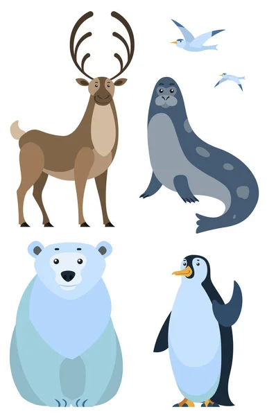 Animal Ártico, Oso y Pingüino, Ciervo y ternero de mar — Vector de stock