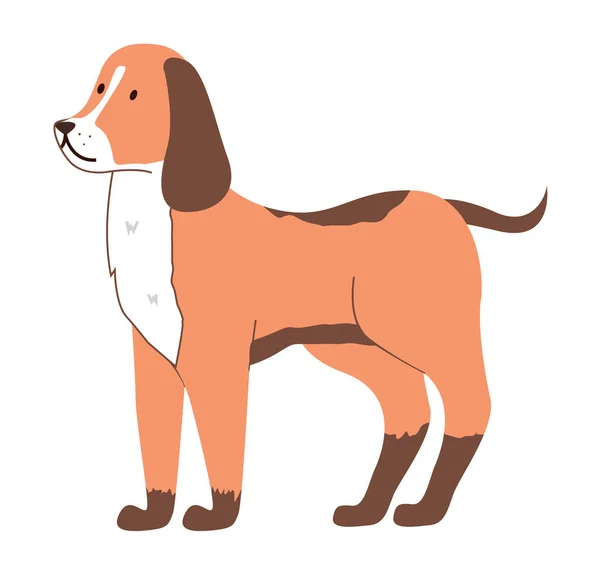 Imagen de perro de raza marrón desconocida. Animal doméstico. Vector de vista lateral para mascotas, aislado en blanco — Vector de stock