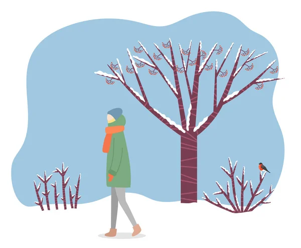 Mujer caminando por el bosque, clima frío de invierno — Vector de stock