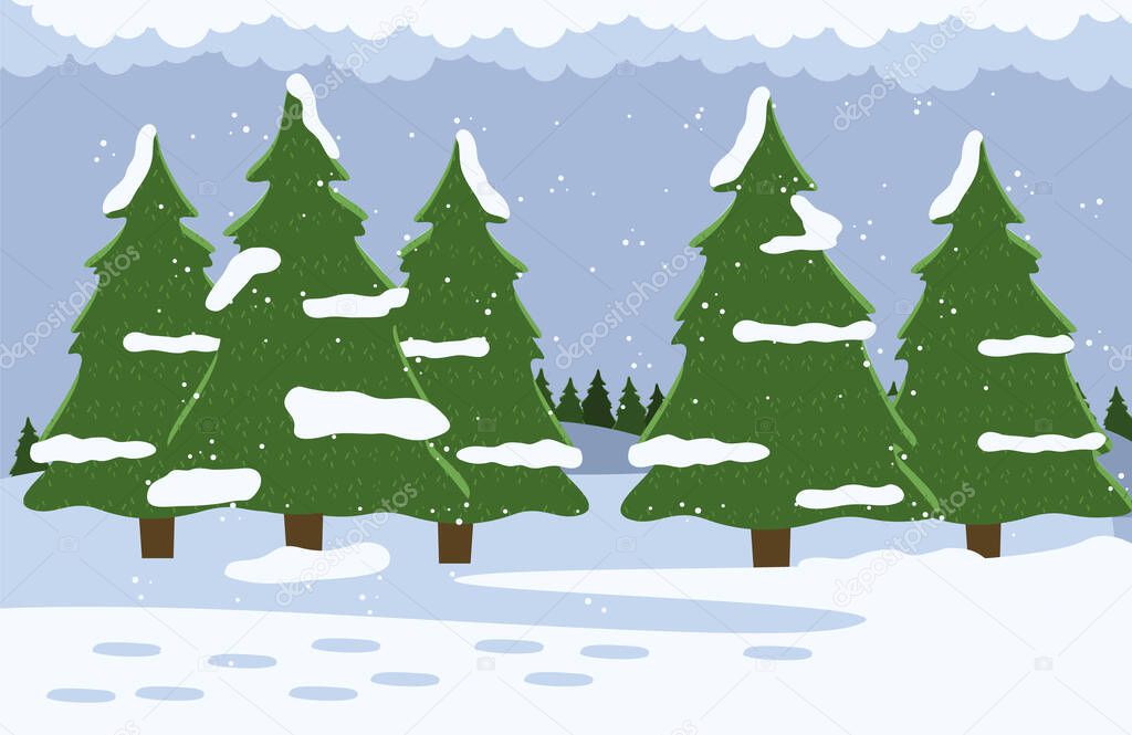 Fir trees with snowy tops, winter in forest, snow cover, snowflakes, evergreen trees, needles
