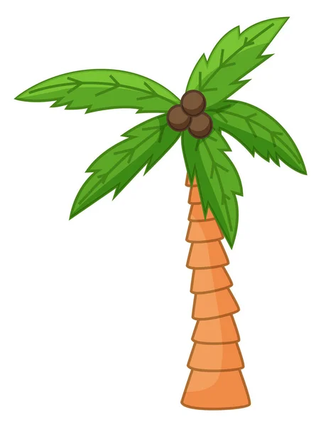 Palme isoliert in Weiß, Cartoon-Stil, exotischer Baum mit Kokosnüssen, subtropische Pflanze, Symbol — Stockvektor