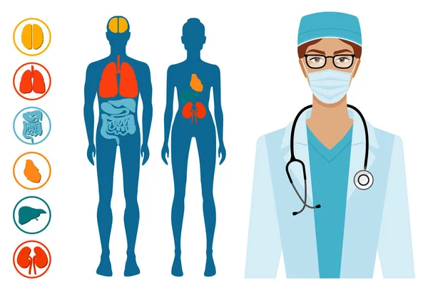 Sistemas de órganos de estructura corporal humana. Hermosa morena joven doctora con fonendoscopio — Archivo Imágenes Vectoriales