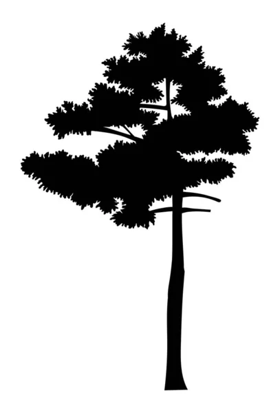 Rajzfilm illusztráció zöld fa elszigetelt fehér háttér, fa korona, raszteres ikon — Stock Vector