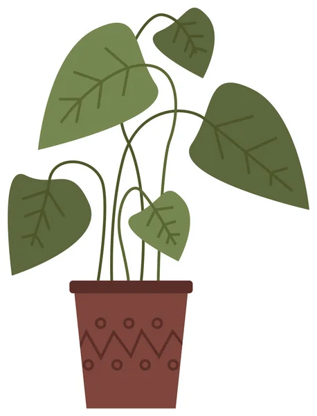 Pianta verde decorativa con foglie lunghe in vaso di ceramica, vaso con pianta d'appartamento. Home impianto interno — Vettoriale Stock