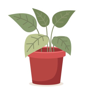 Kırmızı seramik saksıda yeşil bitki. Beyaz arkaplan vektör illüstrasyonuna izole ekleme
