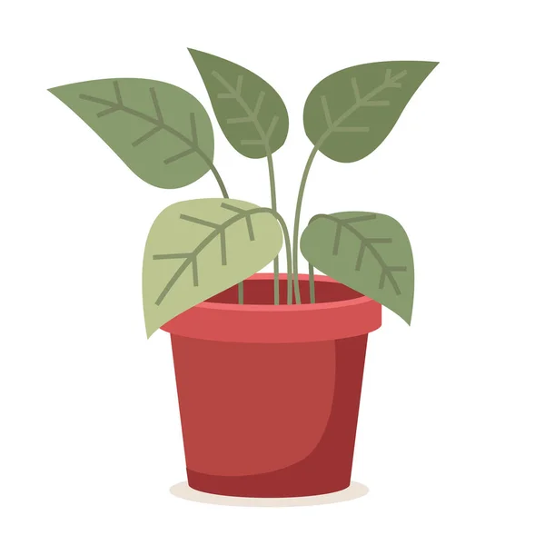 Grön växt i röd keramisk blomkruka. Plantering isolerad på vit bakgrund vektor illustration — Stock vektor
