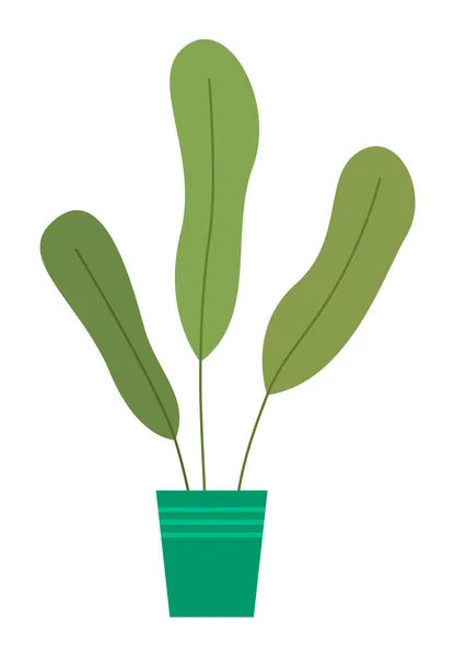Planta verde decorativa com folhas longas em vaso cerâmico, vaso com planta de sala. Casa planta interior — Vetor de Stock