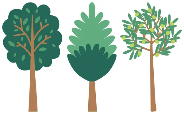 Berbagai pohon tumbuh di pulau Kreta. Ilustrasi vektor tanaman tradisional Yunani - Stok Vektor