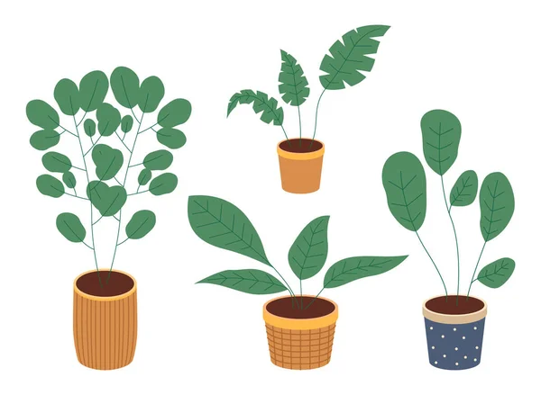 Διακοσμητικό σετ πράσινο φυτό με μακριά φύλλα σε κεραμική κατσαρόλα, κατσαρόλα με φυτό εσωτερικού χώρου. Μονάδα εσωτερικού χώρου — Διανυσματικό Αρχείο