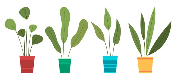 Conjunto decorativo planta verde com folhas longas em vaso cerâmico, panela com planta de sala. Casa planta interior — Vetor de Stock