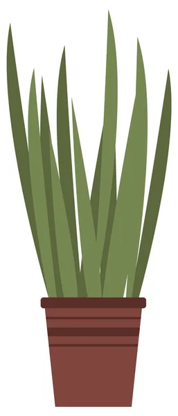 セラミック鍋に長い葉を持つ装飾的な緑の植物、観葉植物とポット。ホームインテリア工場 — ストックベクタ