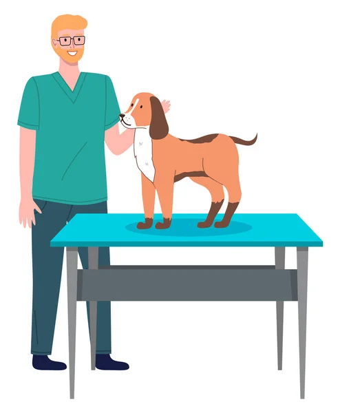 Ветеринарный врач лечит собаку в больничном кабинете. Человек гладит щенка, стоящего на медицинском столе — стоковый вектор