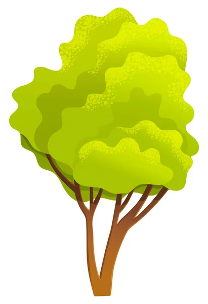 Haut arbre vert brillant au printemps avec une couronne luxuriante, un tronc brun mince et des branches isolées sur blanc — Image vectorielle