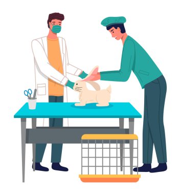 Veteriner bakımı düz çizim. Veteriner doktorlar tıptaki tavşan kulaklarını tedavi ederler.