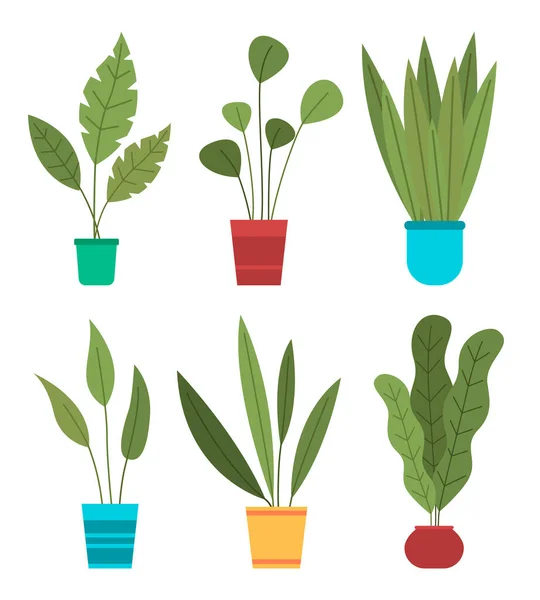 Set decorativo de planta verde con hojas largas en maceta de cerámica, maceta con planta de interior. Inicio planta interior — Vector de stock