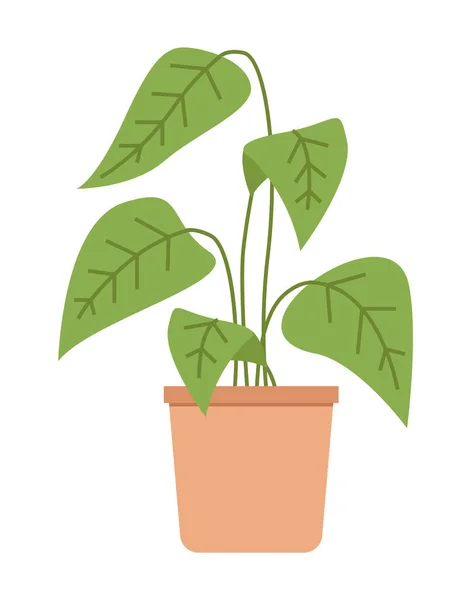 Dekorative Topfpflanze. Zimmerpflanze mit langen Blättern im braunen Keramiktopf. Florales Element für zu Hause — Stockvektor