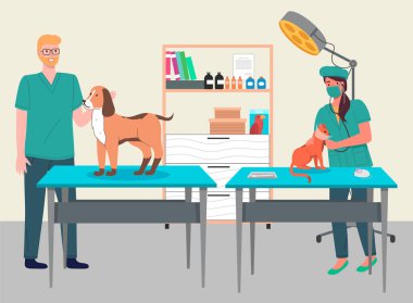 Veteriner bakımı düz çizim. Veteriner doktorlar kedi ve köpeği muayenehanede tedavi ediyorlar.