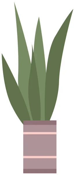 Dekorativ grön växt med långa blad i keramikkruka, kruka med krukväxt. Inredningsanläggning — Stock vektor