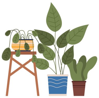 Her zaman yeşillik olan ev bitkileri. Eko tarzı illüstrasyon, modern ve zarif ev dekorasyonu, vektör çiçekleri