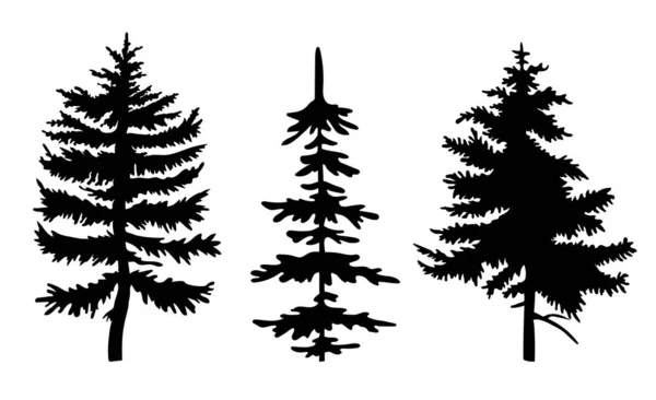 Set of black fir-trees silhouettes, three different spruces, simple raster icon, nature concept Vector Graphics