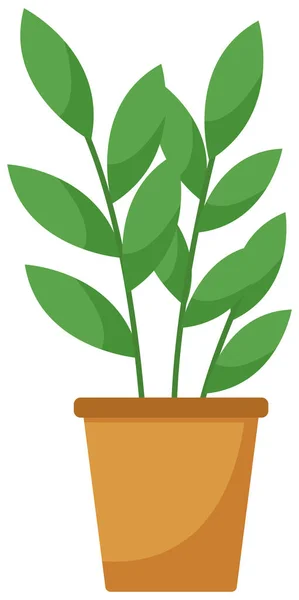 Pianta verde decorativa con foglie lunghe in vaso di ceramica, vaso con pianta d'appartamento. Home impianto interno — Vettoriale Stock