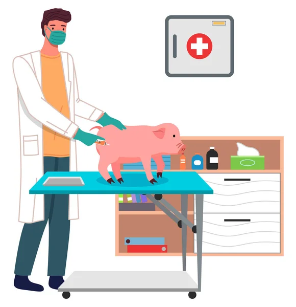 Un vétérinaire avec un petit cochon au cabinet médical. Médecin donne une injection à un porc malade — Image vectorielle