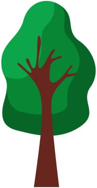 Ahşap gövdeli ve sık yapraklı çizgi film ağacı. Yaprak döken bitki beyaz arkaplanda izole edildi