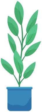 Seramik çömlekte uzun yapraklı dekoratif yeşil bitki, saksıda saksı. Ev içi fabrika