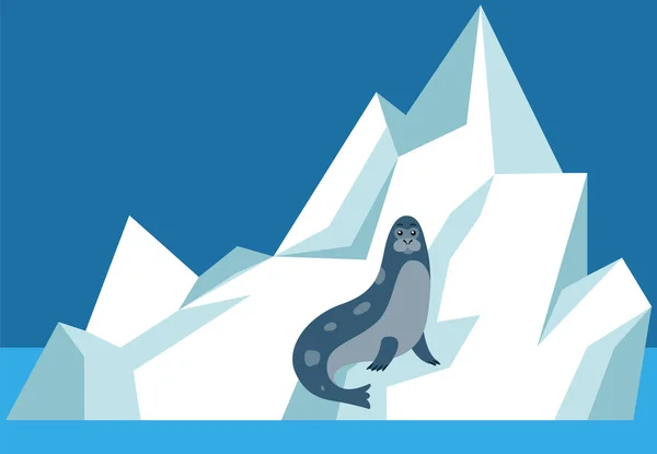 A fóka leül a jégtáblára és lazít. A gleccseren nyugvó vadon élő állatok az antarktica vektor illusztrációjában — Stock Vector