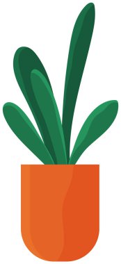 Seramik çömlekte uzun yapraklı dekoratif yeşil bitki, saksıda saksı. Ev içi fabrika