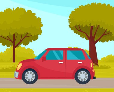 Araba asfalt yolda büyük ağaçlı yeşil ormana doğru gidiyor. Araba turizmi, yolculuk