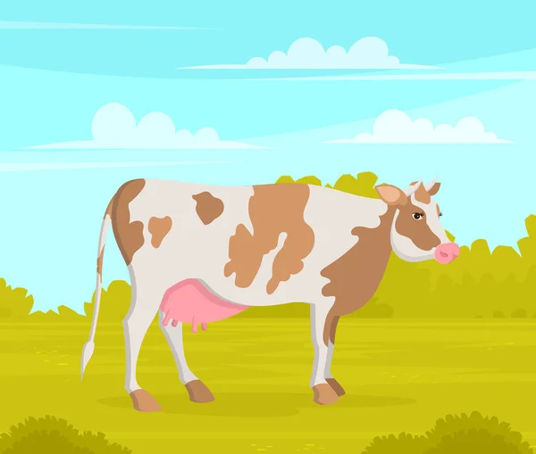 Vaca manchada bonito no prado com grama verde. Animal de quinta com chifres e úbere. Vaca em estilo cartoon —  Vetores de Stock