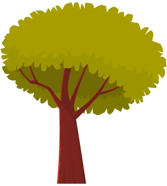Високе дерево з коричневим товстим стовбуром і листям. Велика рослина з щільною круглою короною ізольована на білому — стоковий вектор