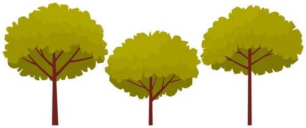 Högt träd med brun tjock stam och blad. Stor växt med tät rund krona isolerad på vit — Stock vektor