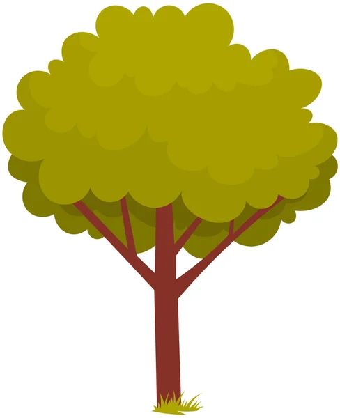 Drzewo liściaste z pniem i gęstymi liśćmi. Wysoka roślina z szeroko rozłożonymi gałęziami i zielonymi liśćmi — Wektor stockowy