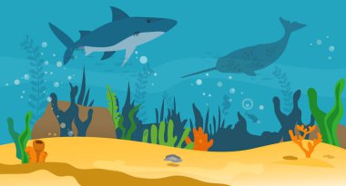 Deniz canlılarıyla dolu sualtı manzarası. Okyanusta yırtıcı deniz memelileri, katil balina ve deniz gergedanı.