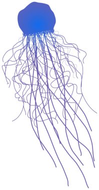Uzun dokunaçları olan şeffaf jöle gibi bir hayvan. Mavi denizanası, deniz yaşamı temsilcisi.