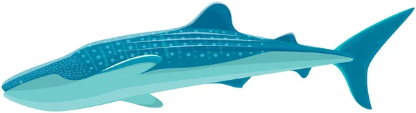 Gyors bálna cápa vad tengeri állat veszélyes hal. Hidegvérű ragadozó él az óceánban — Stock Vector