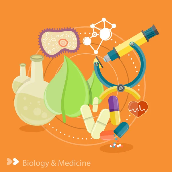 Biology and medicine — Stock Vector