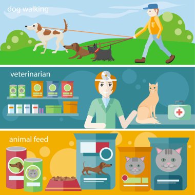 Veteriner kedi stetoskop ile incelenmesi