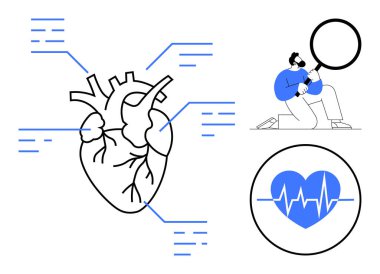 Anatomical heart diagram with data annotations, researcher analyzing with magnifying glass, health monitor symbol displaying heartbeat. Ideal for medical study, science, research, health education